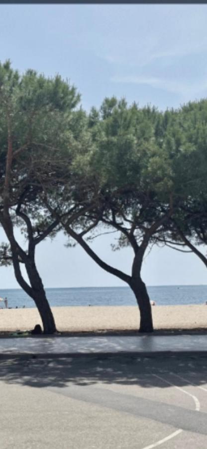 Windsurf Beach Front Torre Grande Exterior foto